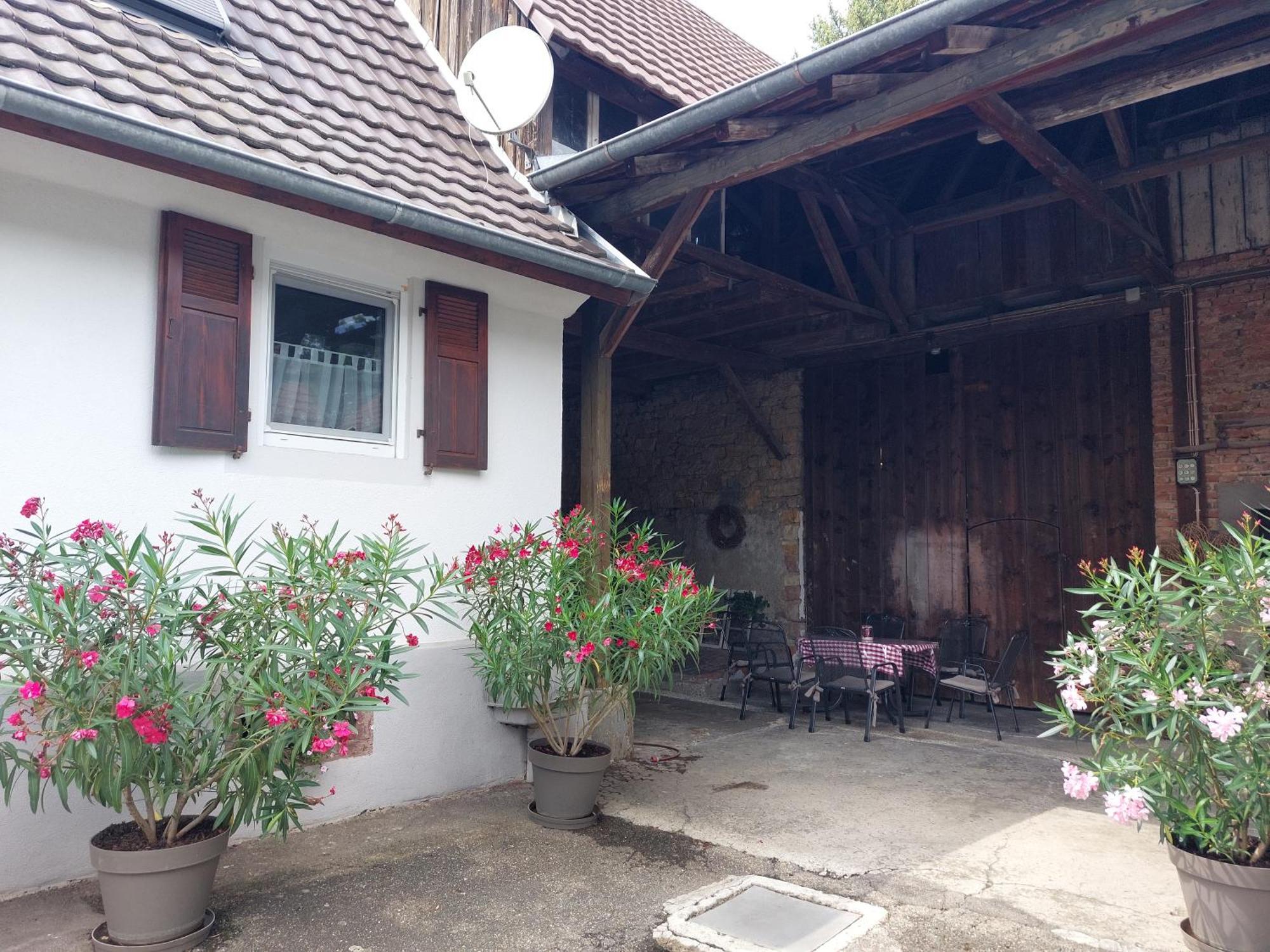 Kleines Bauernhaus Mit Nostalgischem Flair Βίλα Rheinhausen Εξωτερικό φωτογραφία